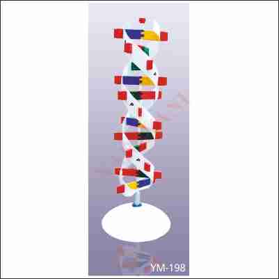 DNA MODEL KIT | Narayani Enterprises